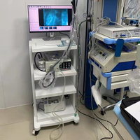 Endoscopie vétérinaire flexible portative de gastroscope vétérinaire d'utilisation de système d'ent de meilleur prix pour l'hôpital animal