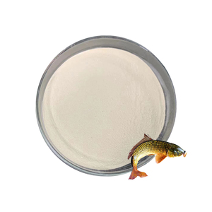 Clostridium Butyricum <strong>Probiotico</strong> Probiotics for Aquaculture - Product Image 2