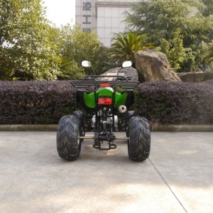 JINLING <span class=keywords><strong>quad</strong></span> <span class=keywords><strong>50cc</strong></span> <span class=keywords><strong>chinois</strong></span> <span class=keywords><strong>quad</strong></span> 49cc mini vtt adulte <span class=keywords><strong>quad</strong></span> - Product Image 6