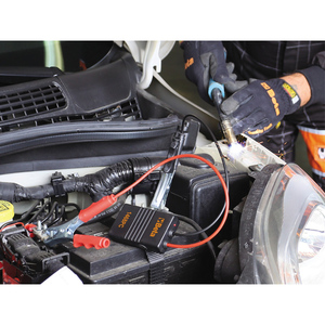 Estabilizador de voltaje Beta 1498PC para baterías de 12-24V - Product Image 2