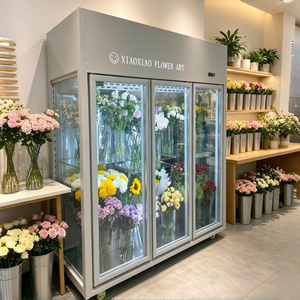 Vitrine Réfrigéré<span class=keywords><strong>e</strong></span> Commerciale pour Fleurs 400L-1000L, Verticale, Porte Vitré<span class=keywords><strong>e</strong></span>, Refroidissement par Air, Sans Givre, pour Fleuriste, Certifié<span class=keywords><strong>e</strong></span> CE, Fabrication OEM - Product Image 6