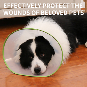 Leichtes verstellbares Kunststoff-Haustier kegel Elizabethan-Halsband für kleine Mini-Hunde Katzen Welpen LED-Lichter Soft Solid Recovery <span class=keywords><strong>Dog</strong></span> - Product Image 3