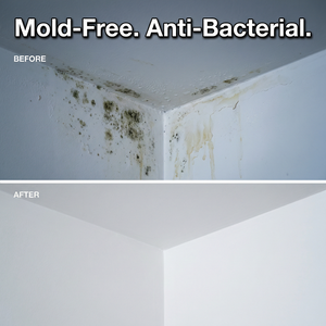 Pintura protectora funcional a base de agua, antimoho, resistente a la humedad, para superficies de paredes interiores húmedas. - Product Image 3