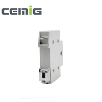CEMIG alta calidad 2P 63A 230/400VAC Modular Dual Power interruptor aislador de transferencia Manual interruptores de instalación de riel Din