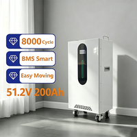 Livraison sécurisée, faible MOQ, batterie lithium 51.2V 200Ah 10kWh avec 16 cellules, onduleur solaire hybride 48V, batterie de stockage d'énergie domestique