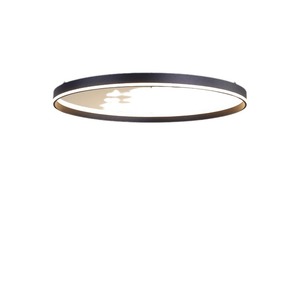 2023 New Modern Minimalist Ring Pendant <b>Light</b> for Living <b>Dining</b> Bedroom Direct Sales Zhongshan Lighting Factory AC Power Source - Product Image 3