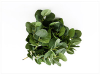 Feuilles d'eucalyptus en soie artificielle à une seule branche Offre Spéciale pour la décoration de mariage