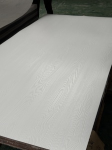 1220*2440mm Grain <span class=keywords><strong>de</strong></span> bois/couleur unie/nature placage <span class=keywords><strong>de</strong></span> pierre <span class=keywords><strong>de</strong></span> marbre <span class=keywords><strong>pour</strong></span> revêtement Hpl Hpl <span class=keywords><strong>feuille</strong></span> <span class=keywords><strong>de</strong></span> <span class=keywords><strong>stratifié</strong></span> 0.6mm/0.7mm/0.8mm - Product Image 5