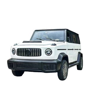 Nuevo Modelo 2025, Vehículo Eléctrico de Cuatro Ruedas de 5000W para Uso Doméstico, Doble Combustible, Sin Licencia, para Personas Mayores, Vehículo L-G Big G - Product Image 4