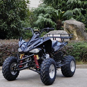 CEE adulto atv <span class=keywords><strong>quad</strong></span> 1 reverse single cylinder4 stroke250cc desplazamiento alta calidad <span class=keywords><strong>precio</strong></span> barato venta caliente - Product Image 2