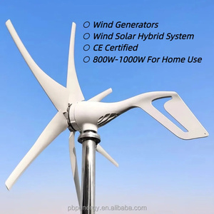 Générateur à aimants permanents 800W Petite éolienne Production d'énergie éolienne Système d'énergie solaire 12V 24V pour usage domestique - Product Image 2
