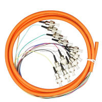 0.9mm 12 Couleur/noyau Ruban Patch Cordon Sc Upc Apc Monomode Lc Fc St E2000 G652D Sm Mm Om2 Om3 Om4 12core Fibre Optique Pigtail