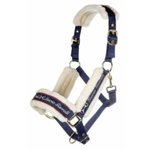 Ensemble de harnais pour cheval personnalisable, haute qualité, nylon PP HE6009, pour l'équitation, prix de gros - Product Image 1