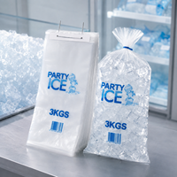 Sac d'emballage pour glace en LDPE imprimé sur mesure, de qualité alimentaire, résistant au congélateur, avec poignée, pochette en plastique robuste pour la transformation de la glace