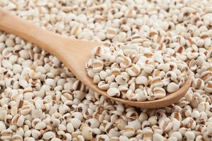 Meilleur Choix Graines de Coix Séchées du Vietnam (Adlay) - Haute Qualité Prix de Gros Premium Sans Coquille Durée de Conservation 12 Mois - Product Image 4