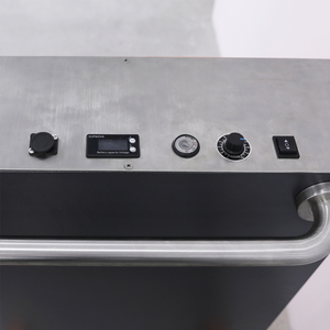 מכירה ישירה מהמפעל, הפעלה קלה, מלגזת הרמה ידנית 100 ק\"ג, מנוף הרמה עם מנוע 220V, מאושר CE, הרמה ניידת - Product Image 5