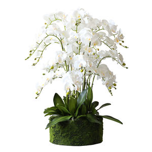 High Quality Real Touch Artificial Orchids Flower Plastic Potted Orchid For Wedding Party Home Decoration