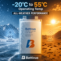 Batterie solide Battivus 3.87V 60Ah en format pochette 221x121x9.7mm 516g pour drones industriels VTOL à longue autonomie et cartographie – Marché russe