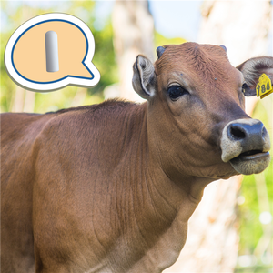 134.2kHz HDX FDX-B bò cừu thú y ruminal bolus cho theo dõi gia súc bò livstock <span class=keywords><strong>RFID</strong></span> ID động vật nhận dạng - Product Image 4