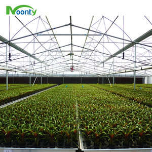 Túnel de un solo tramo de invernadero agrícola para cultivo de vegetales/Cultivos/<span class=keywords><strong>hierbas</strong></span>/lechugas/tomates/Flores/arándanos en zona tropical - Product Image 5