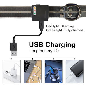 Laisse pour chien lumineuse RVB personnalisée en gros par UMIONE, avec rubans, en PVC rechargeable et écologique - Product Image 2