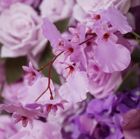 Mur de fleurs en tissu violet 5D, toile de fond pour célébrités d'Internet, pour la mise en scène de mariages et les décorations extérieures