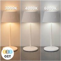 Lampe de table à LED d'extérieur moderne portable pour lire la veilleuse rechargeable avec chevet à piles sans fil