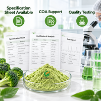 Poudre de brocoli lyophilisée Fruiterco, qualité alimentaire, poudre de légumes verts pour les boissons, les smoothies et la formulation alimentaire