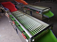 Aangepaste avocado sorteermachine, kersen sorteermachine, fruit sorteermachine voor fruit