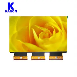 5448X3400 Titik 8.9 Inci MoNo TFT IPS Layar LCD Panel Ips Antarmuka Mipi Dsi Modul Tampilan LCD Monokrom Kualitas Tinggi