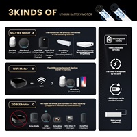 Stores occultants rechargeables à batterie au lithium, stores automatiques intelligents Zigbee Google Wifi, stores zébrés motorisés électriques pour fenêtre