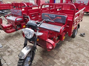 รถสามล้อไฟฟ้าจีนแบบเปิดประทุนสำหรับผู้ใหญ่  มอเตอร์ 60V 1000W สำหรับบรรทุกสินค้าและผู้โดยสาร รับน้ำหนักได้ 800 กก. - Product Image 5