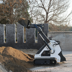 Minicargadora Compacta Personalizada, Maquinaria de Construcción Multifuncional, Transportador, Pala Eléctrica sobre Orugas - Product Image 2