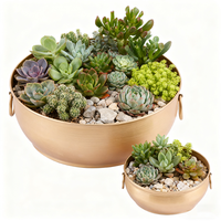 Pot besi gaya Vintage, dengan pegangan cincin ganda emas buatan tangan penanam logam bulat untuk dekorasi rumah dalam ruangan berkebun dan pesta