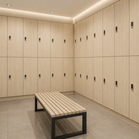 Armario de Almacenamiento Moderno de HPL Fenólico Engrosado e Impermeable, Gabinete Modular Ensamblado Resistente al Desgaste con Llave para Baños Públicos Comerciales