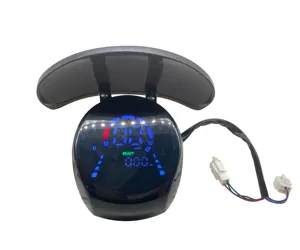 36V-96V Speedometer Display for Electric Motorcycle High Power Bike