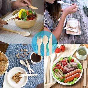 Juego de Cubiertos Chinos Biodegradables y Ecológicos con Servilleta y Cuchara de Madera con Logotipo Personalizado para Fiestas y Restaurantes, Marca Go Green, Venta al Por Mayor - Product Image 4