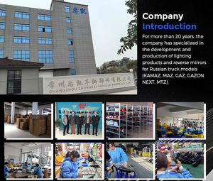 Ricambi Auto destra specchietto retrovisore sinistro con luce specchietto laterale Auto per Gaz GAZEL/gazzella 46.8201021 - Product Image 4