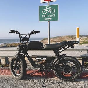 ODM Bicicleta Elétrica (E-<span class=keywords><strong>bike</strong></span>) Adulta de Montanha com Suspensão Total, Pneu Largo, Estilo Vintage Retrô, Esportiva para Terreno Acidentado, de Alta Velocidade, Personalizada, Mais Barata, para Fabricantes - Product Image 2