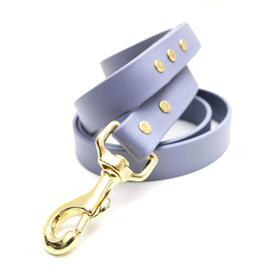Dog Leashes Waterproof Leash Custom Multicolor Cheap Price Plastic Dog Leashes Rubber Coated Tpu Pvc Webbing Waterproof Dog Leash