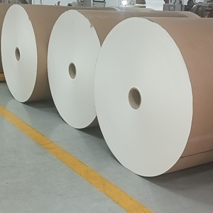Rollos de Papel para Vasos Recubiertos de PE, Duraderos, de Alta Rigidez, para Seguridad y Salud - Product Image 6