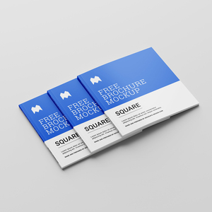 <span class=keywords><strong>Brochure</strong></span> et catalogue d'entreprise à couverture souple avec reliure parfaite, papier offset, laminé mat/brillant - Product Image 2