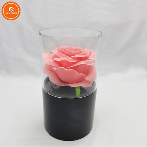 Sample Available customization Personalised Elegant Clear Acrylic Box Precious packaging display Jewelry Acrylic Keepsakes Box