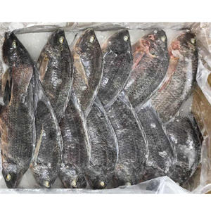 Directe Fabrieksexport Van Hele Tilapia-Vis 500G-1 Kg/stk 10 Kg/box Goedkope Afrika-Markt Vist Hele Tilapia-Vissen - Product Image 5