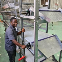 Cage à poules pondeuses de type H à 4 niveaux avec courroie de nettoyage du fumier à manivelle, cage en batterie pour élevage avicole