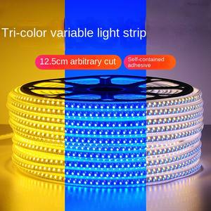 High-voltage 220V IP67 Waterproof Flexible <b>LED</b> Double-row Indoor/Outdoor <b>Light</b> Strip with Dimmable Residential Use - Product Image 4