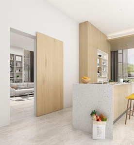 Giấu trượt Barn Door phần cứng hiện đại dễ dàng cài đặt nội thất Wall Mount Hidden theo dõi cán Kit cho không có cửa sàn - Product Image 4