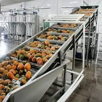 Industriële ananassapmachine, fruit snij- en pulpmachine, verwerkingsmachine voor fabrieken