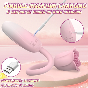 Tragbarer Rosenförmiger Silikon-Vibrator Klitoris G-Punkt Brustwarzen-Stimulation 10 Frequenzen USB Aufladbar IPX6 Sexspielzeug für Frauen - Product Image 4