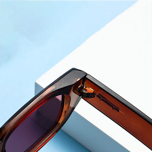 Gafas de Sol Personalizadas con Logotipo, Gafas de Mujer con Marco Cuadrado, Gafas de Sol Negras 2026, Gafas de Diseñador, Gafas de Sol de Plástico - Product Image 4